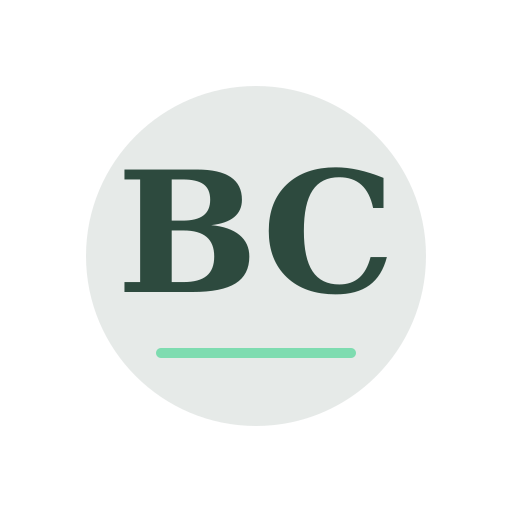 Boyer Chimney Repair logo